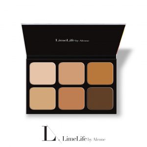 Perfect Foundation 6 well palette